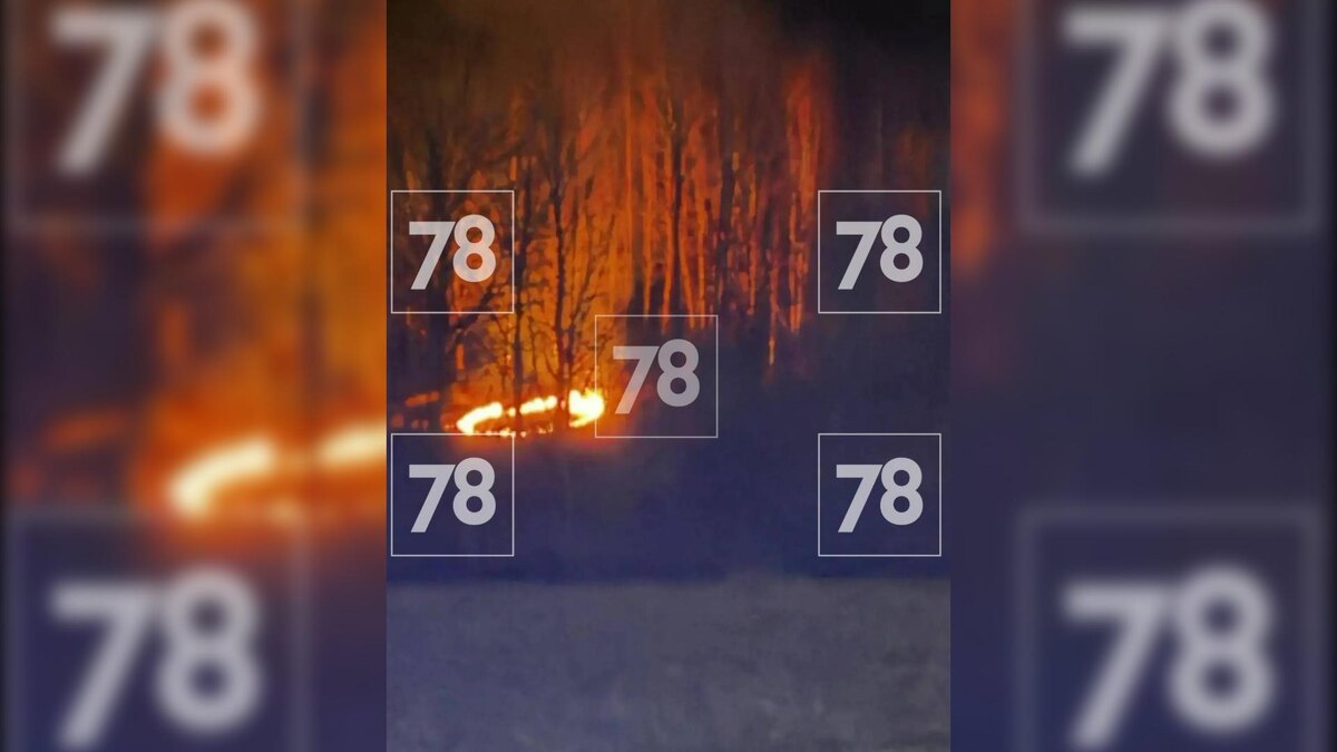    Фото: 78.ru