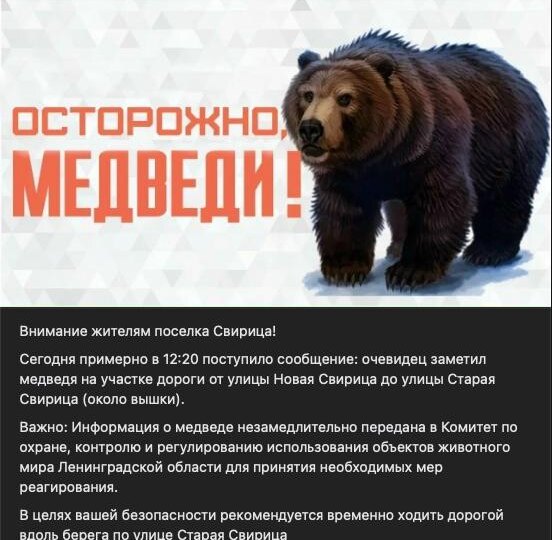 Ну чтобы вы понимали как нам тут живется