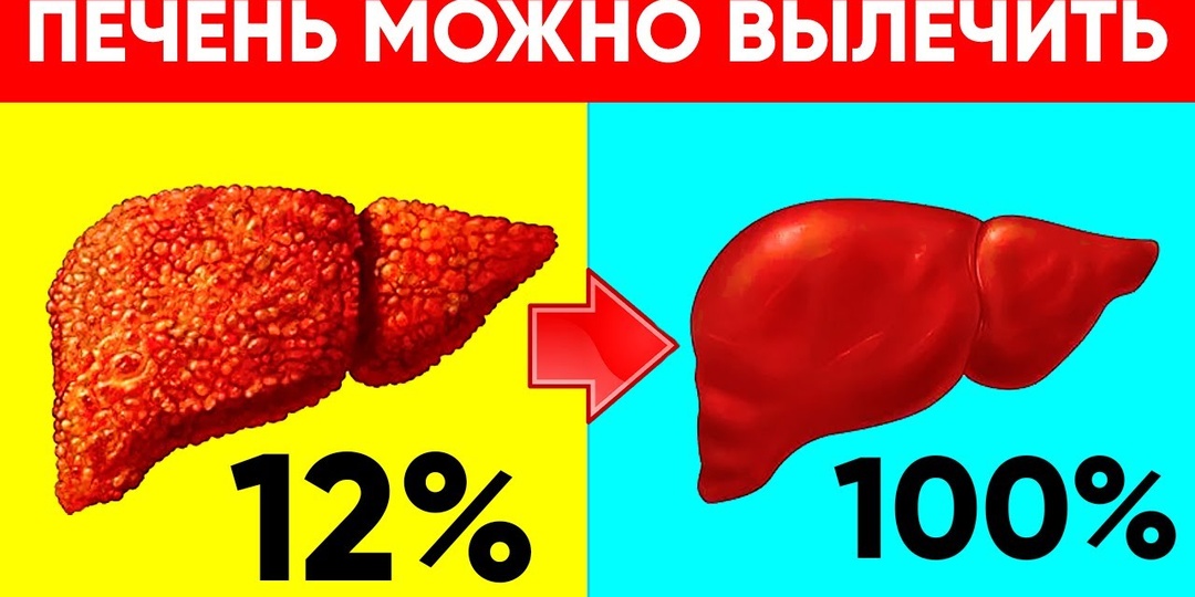ПЕЧЕНЬ как в 18 лет. Эти продукты ОБНОВЛЯЮТ ПЕЧЕНЬ