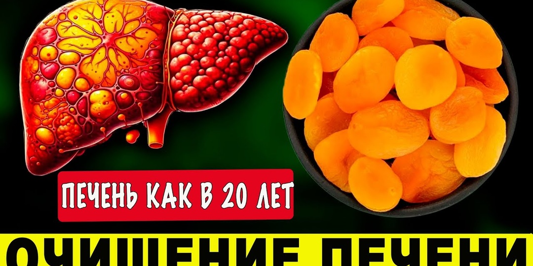 ПЕЧЕНЬ как в 18 лет. Эти продукты ОМОЛАЖИВАЮТ ПЕЧЕНЬ