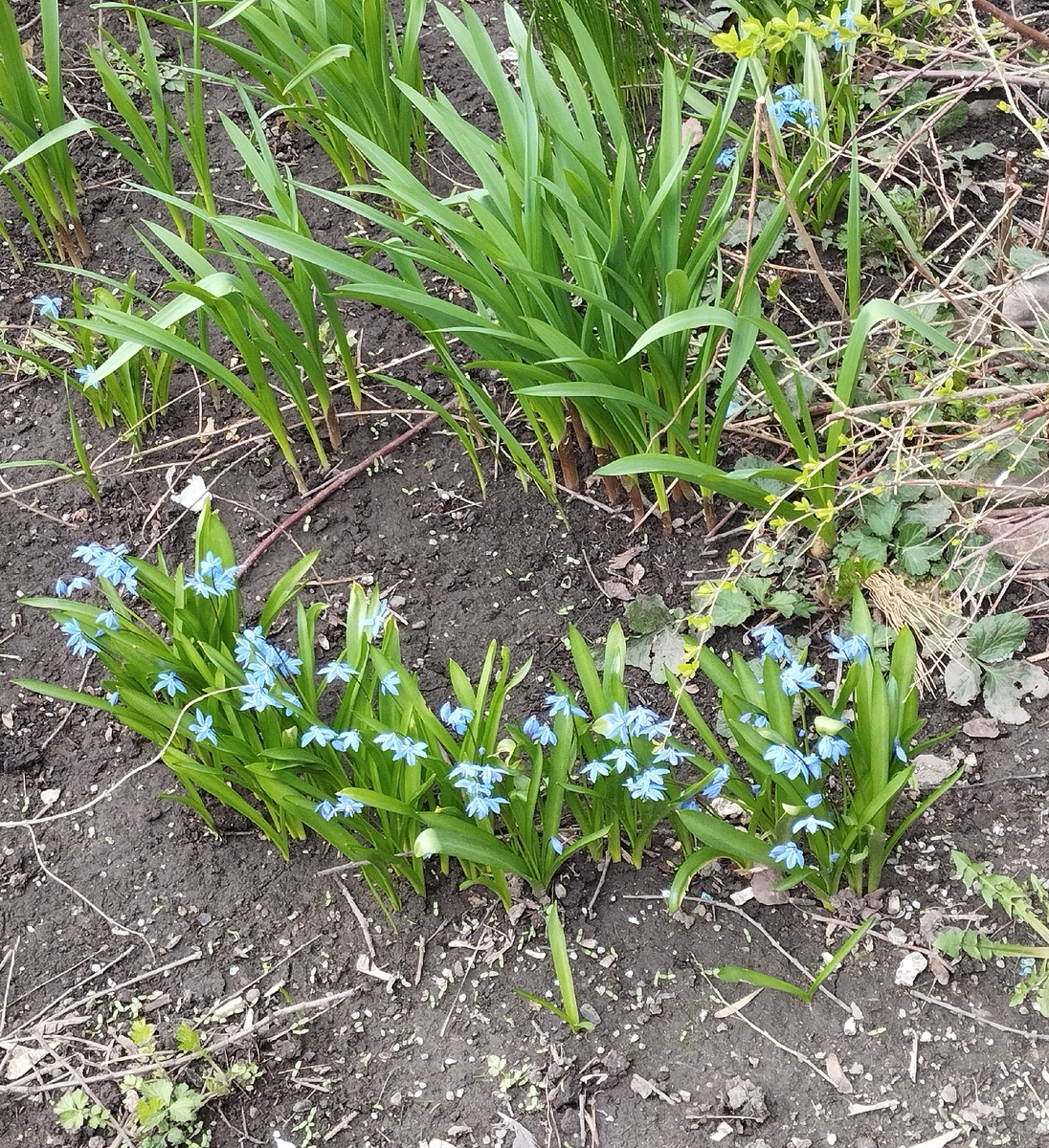 Апрель в Лианозово. ЗДЕСЬ и далее фото автора и(или) из личного архива автора, если не указано иначе.