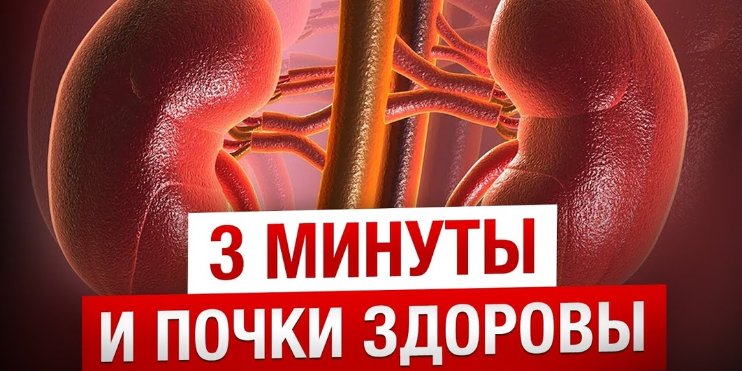 Здоровье ПОЧЕК. Какие продукты можно + продукты разрушающие почки