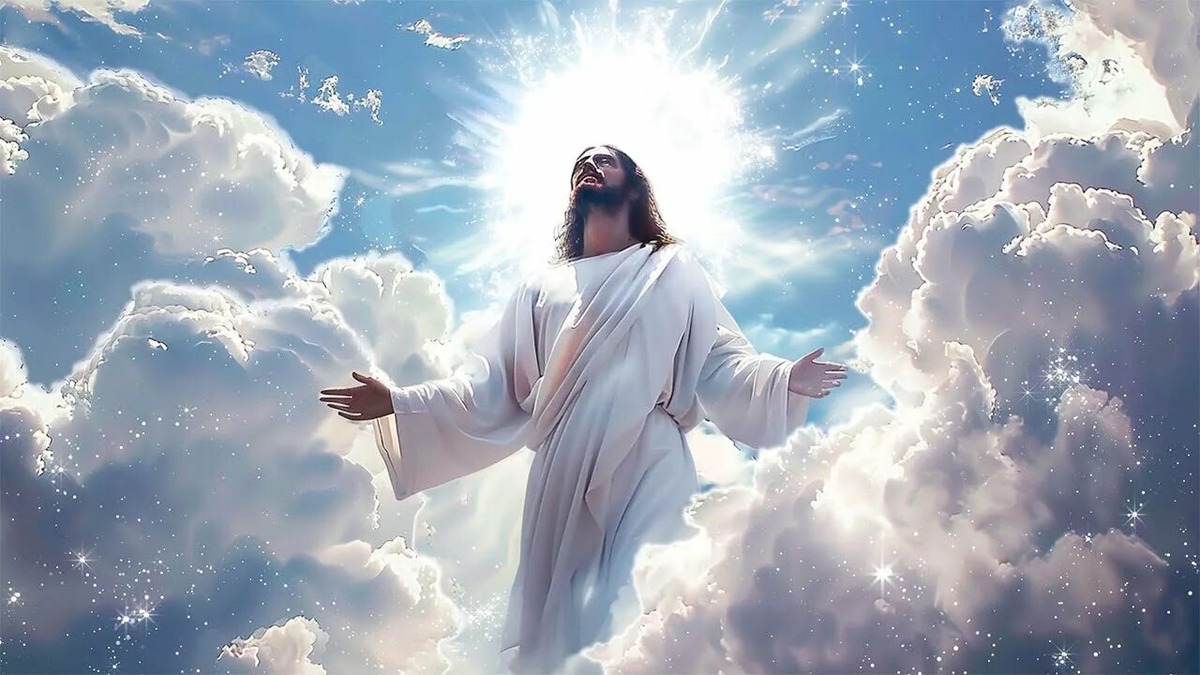 Из открытых источников Яндекса.