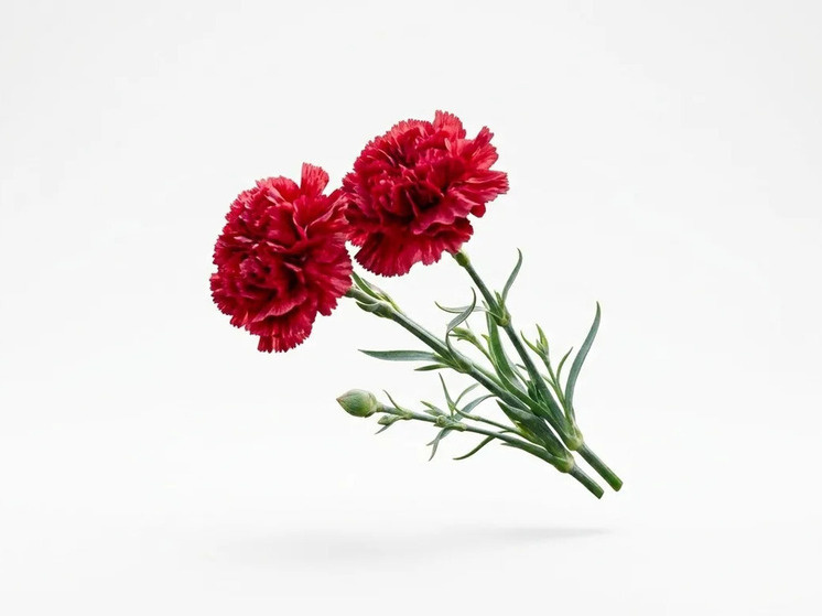     В Хабаровске ДВЮИ МВД почтили память сотрудников, погибших при исполнении долга. Фото: Сгенерировано Gemini.com