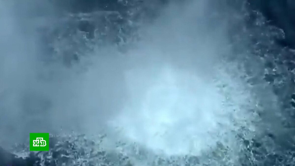    Суд в ФРГ впервые признал Киев ответственным за теракты на «Северных потоках»