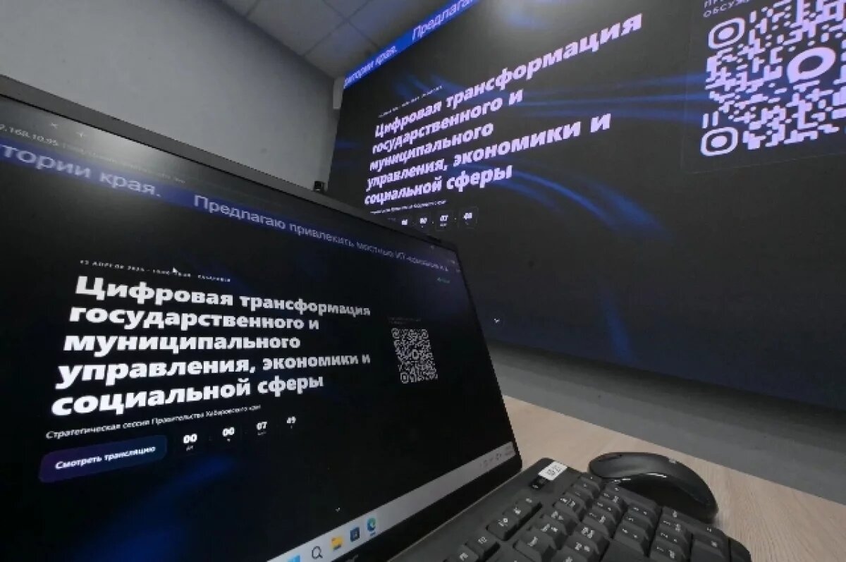    В Хабаровском крае летом появятся Wi-Fi и ИИ на площадях и набережных