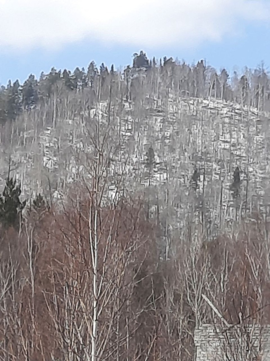 Фото автора.