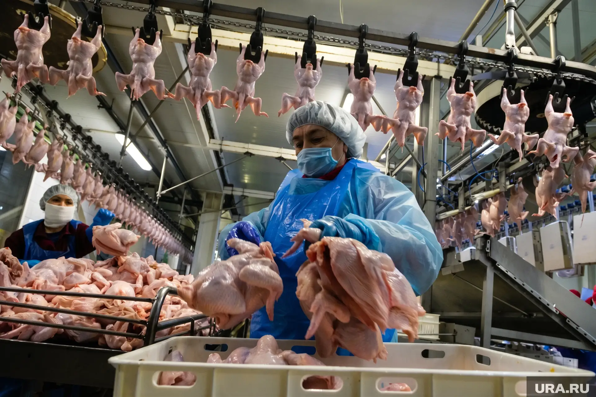 По данным Росстата, производство мяса птицы в январе-марте сократилось на 2,7% год к году