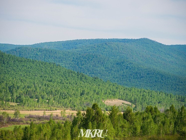     фото мк в чите