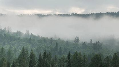    Фото: Valerii_M/Shutterstock/Fotodom