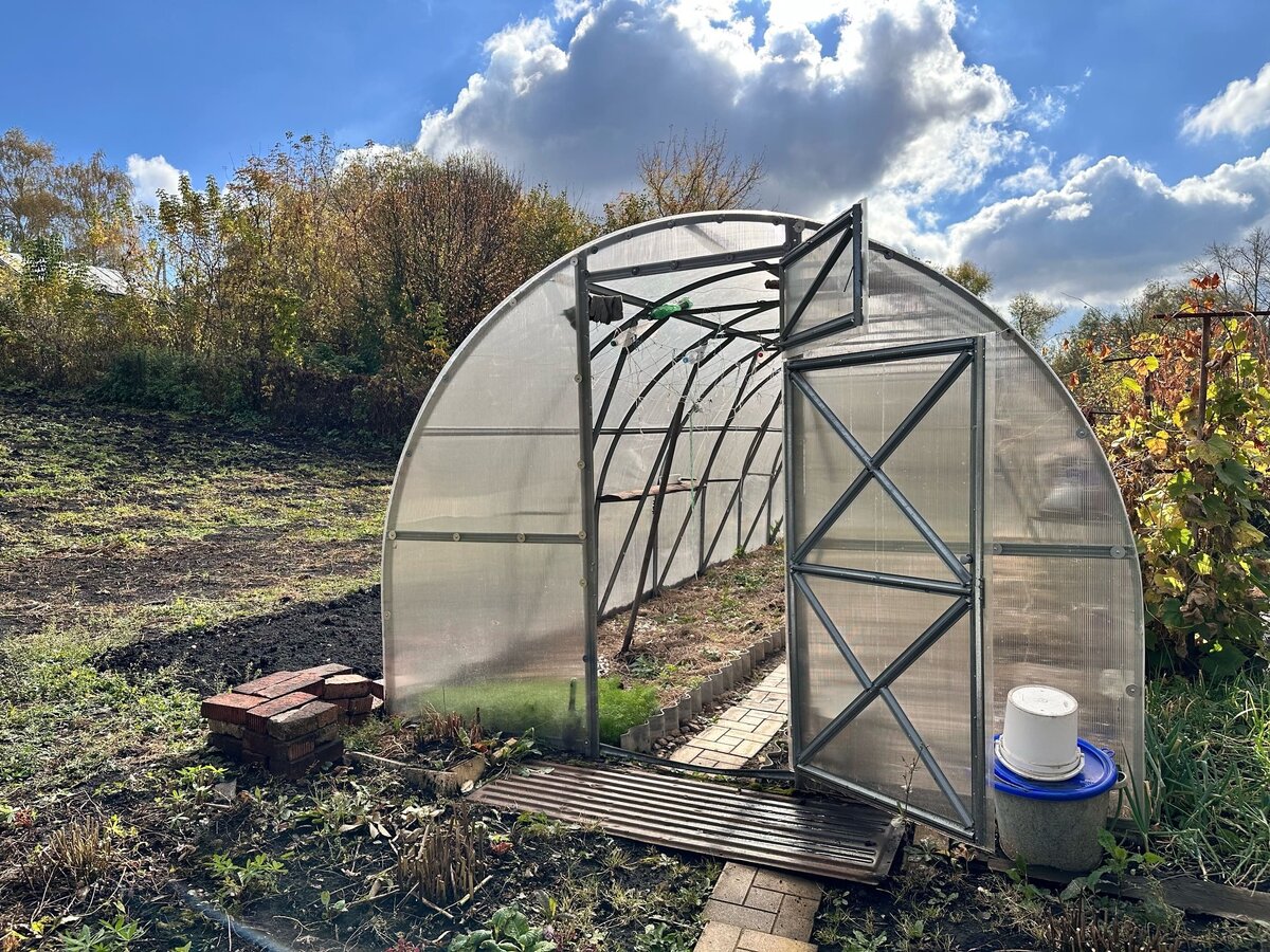    Секрет стабильного и богатого урожая наконец раскрыт / progorod59