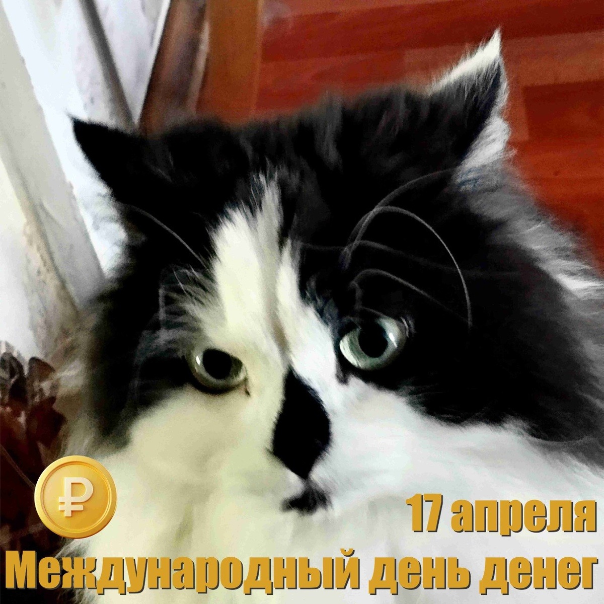 🐾 Комментарий Котейки По Имени Роршах:
