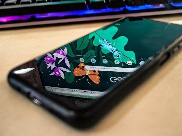     100 тысяч приморцев «переехали» в домовые чаты для решения проблем ЖКХ. фото: мк хабаровск ольга григорьева