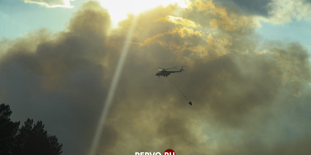 Первоуральцам запретили ходить в лес. Список запретов и штрафов