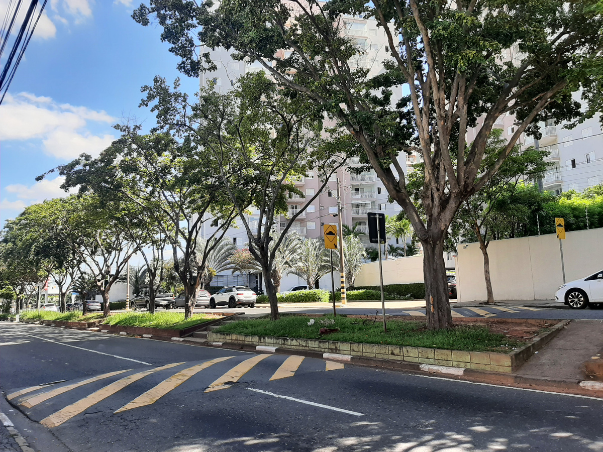 Город Кампинас.