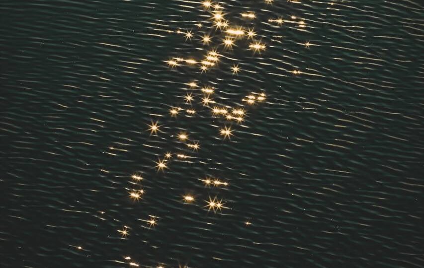 Вы или ваш питомец лечитесь годами, а воз и ныне там