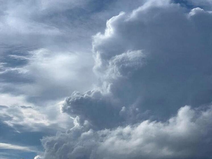     Фото: сгенерировано ИИ