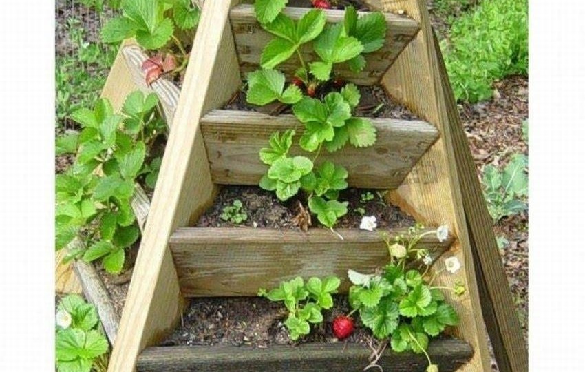 Метод вертикальной грядки: как вырастить больше на маленькой площади