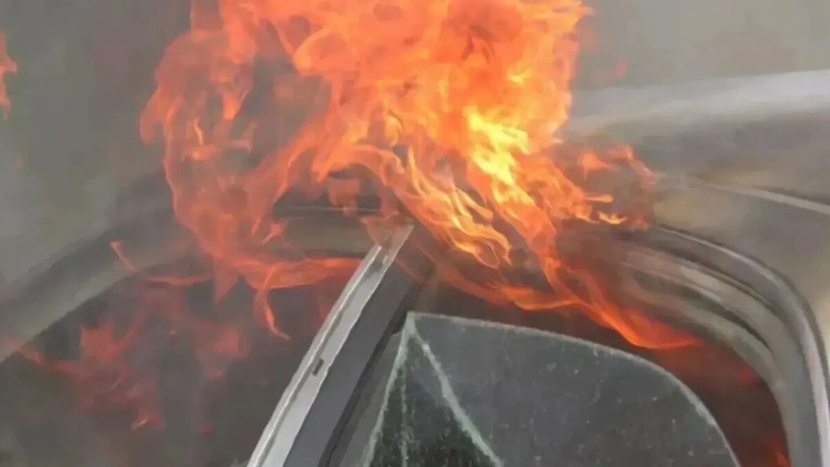    Фото: wideweb/Shutterstock/Fotodom