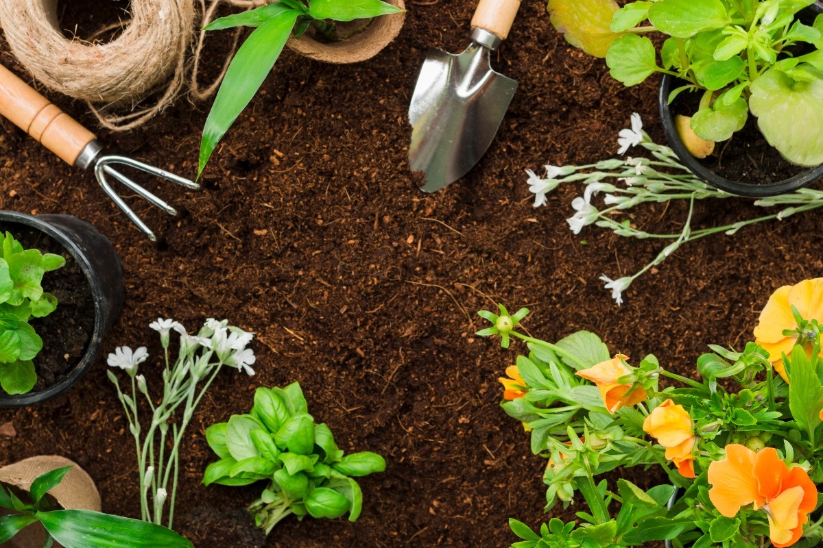    Фото: Freepik.com