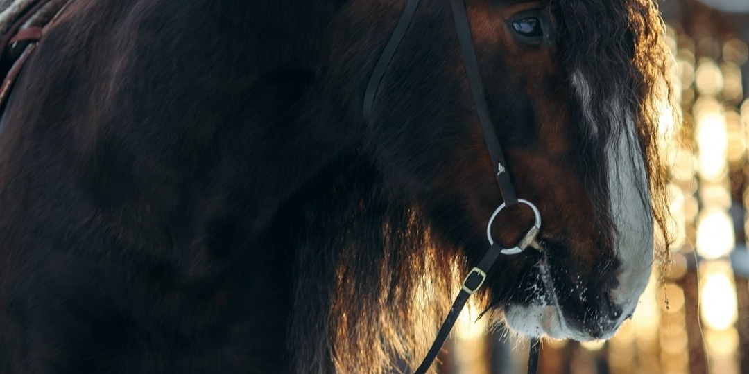 ФОТОГРАФ Анна Молчанова | Тюмень