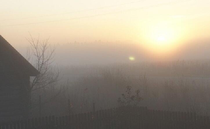 Волчья ягода