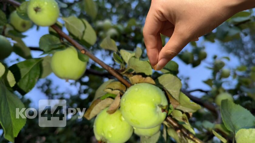    Фото редакции