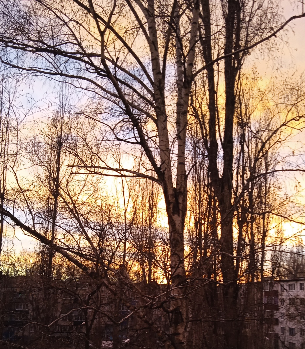 Все фото автора