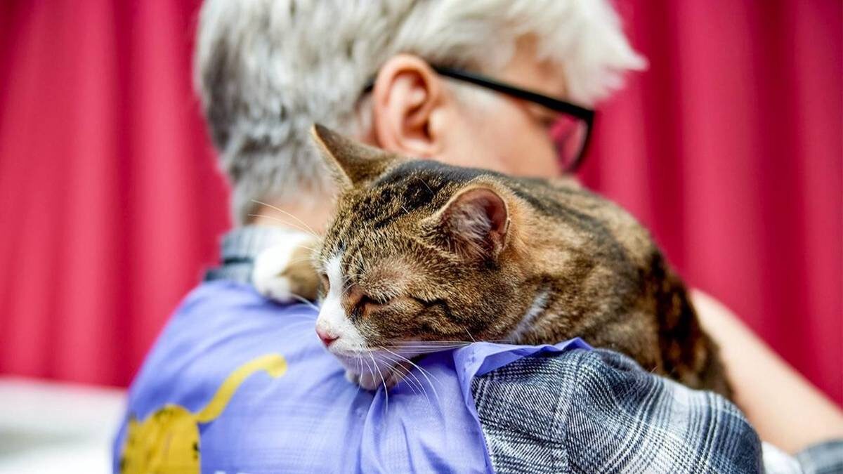    Фото: mos.ru / Максим Денисов