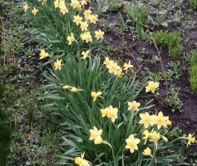 Какая погода на выходных 18-19 апреля ожидается в Курской области