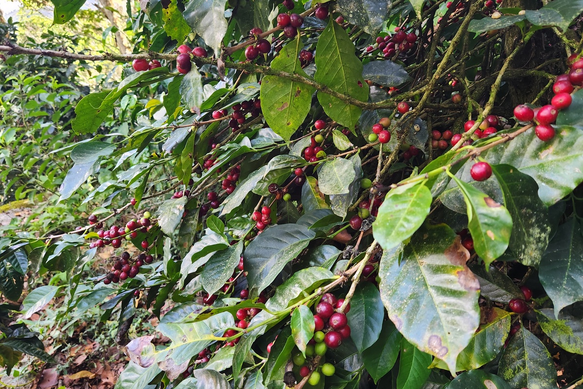     Фото: Иван Карташов