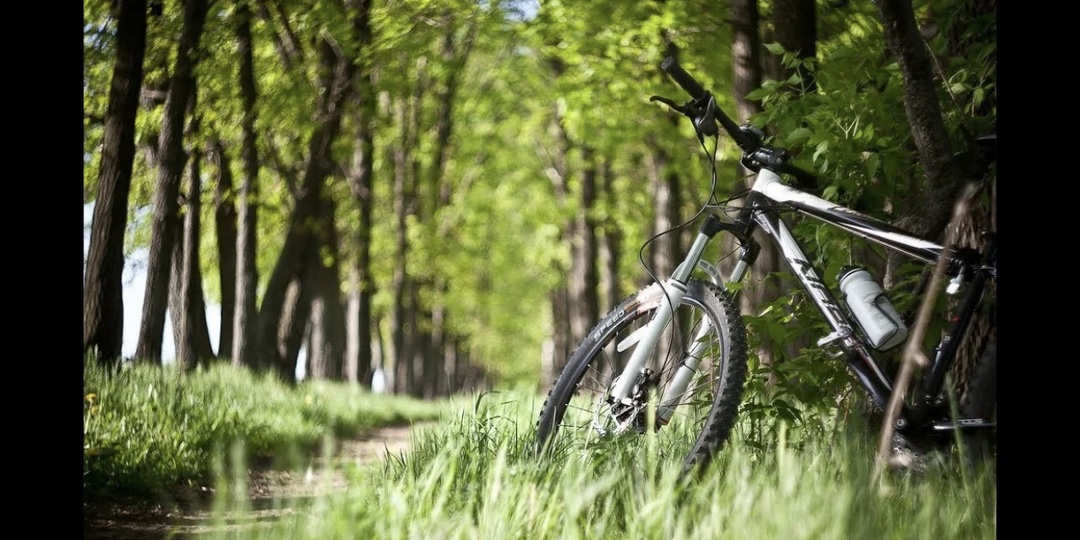 ИЗОБРЕТАЕМ ВЕЛОСИПЕД