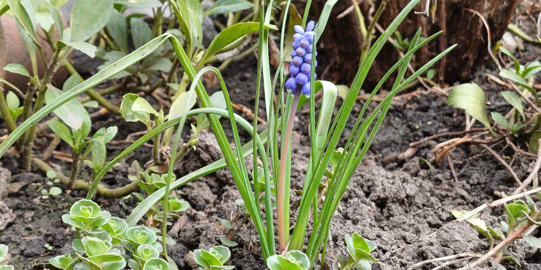 Накипело? Вычистим даже унитаз