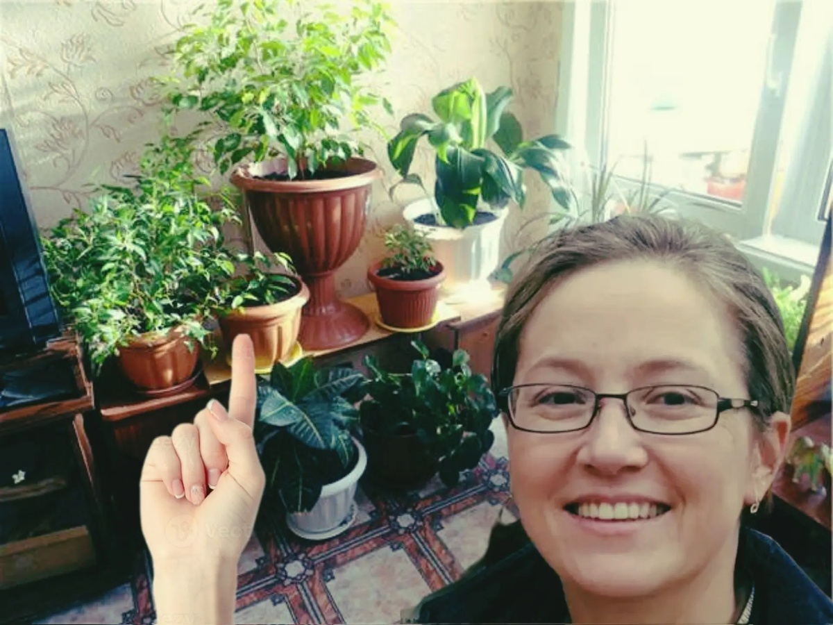 Результаты работы моей системы