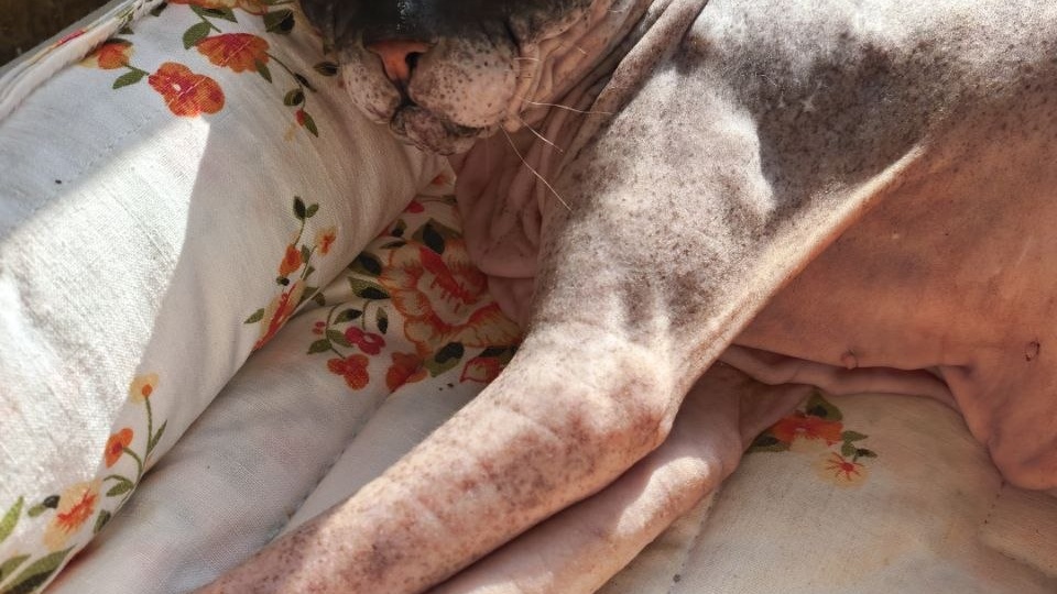 Живём по-тихонько, ценим каждый день