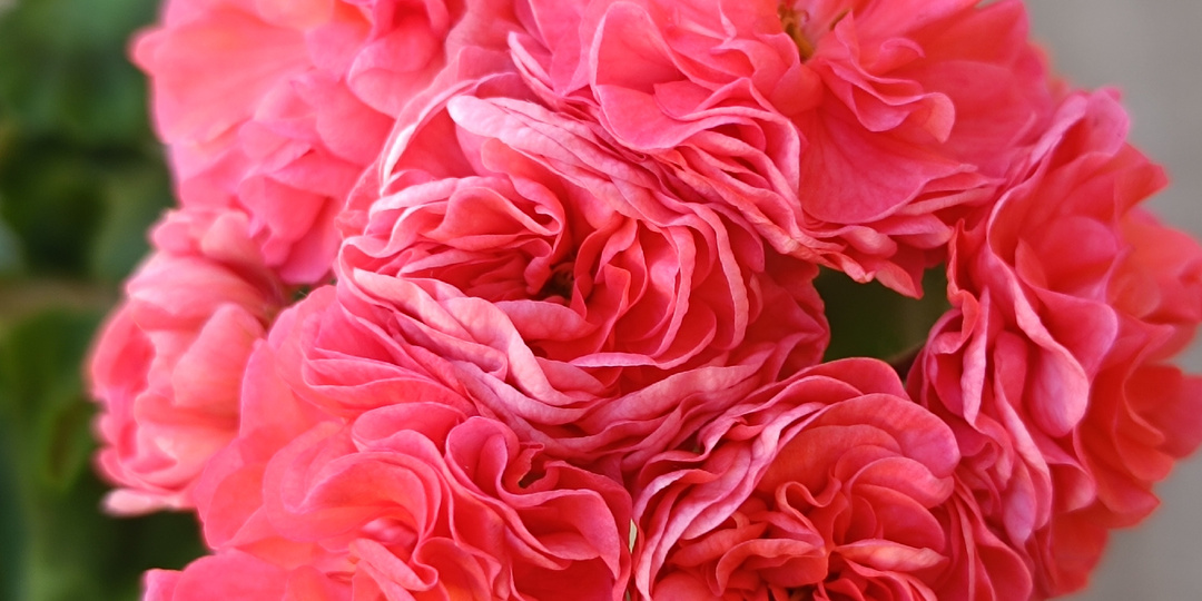 Весенние будни