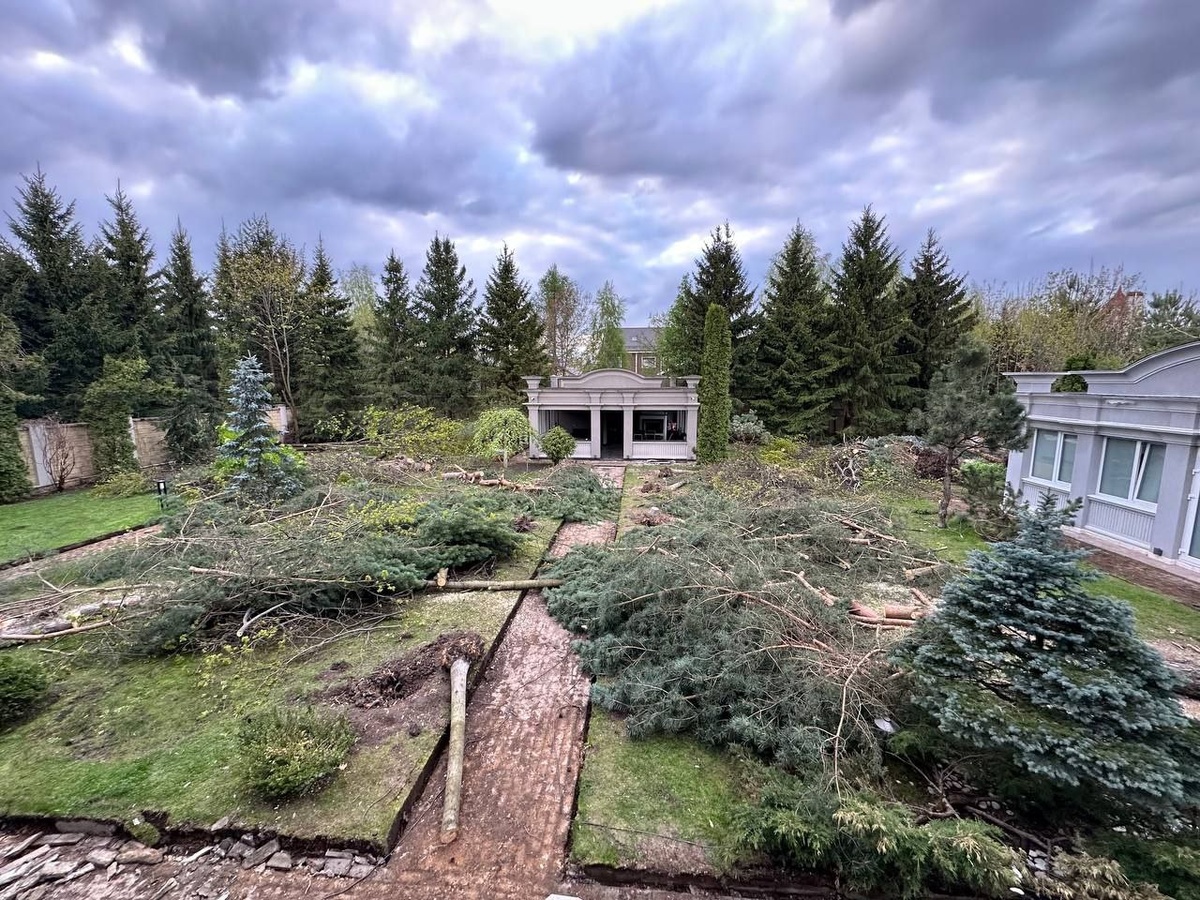 состояние участка ДО