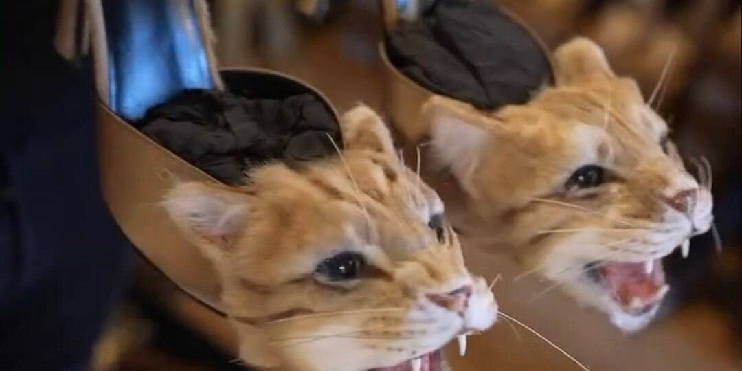 Немодные, общий сбор! Актуальную  обувку показываю