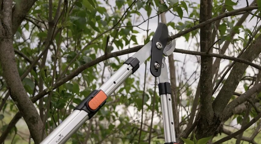 
фото предоставлено производителем