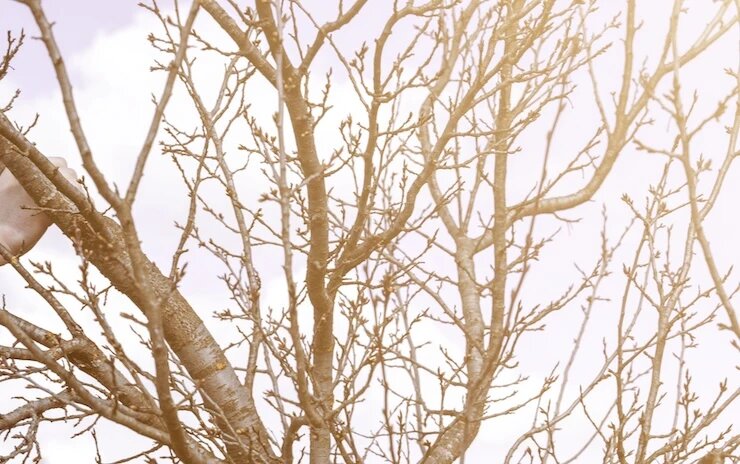 фото 123RF/nikocingaryuk