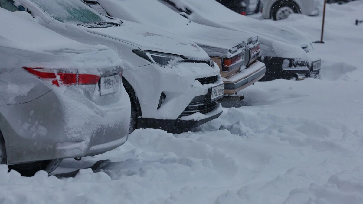    Фото: Андрей Ткачев/«Ямал-Медиа»