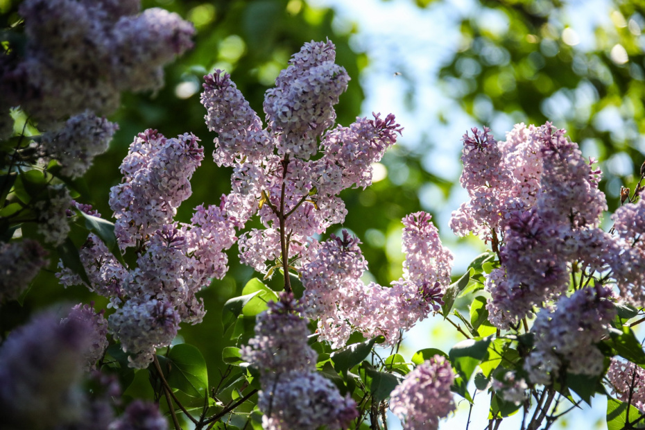    Сергей Лантюхов/NEWS.ru