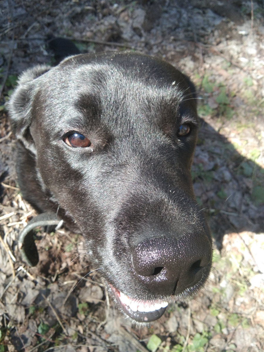 Фото автора. 