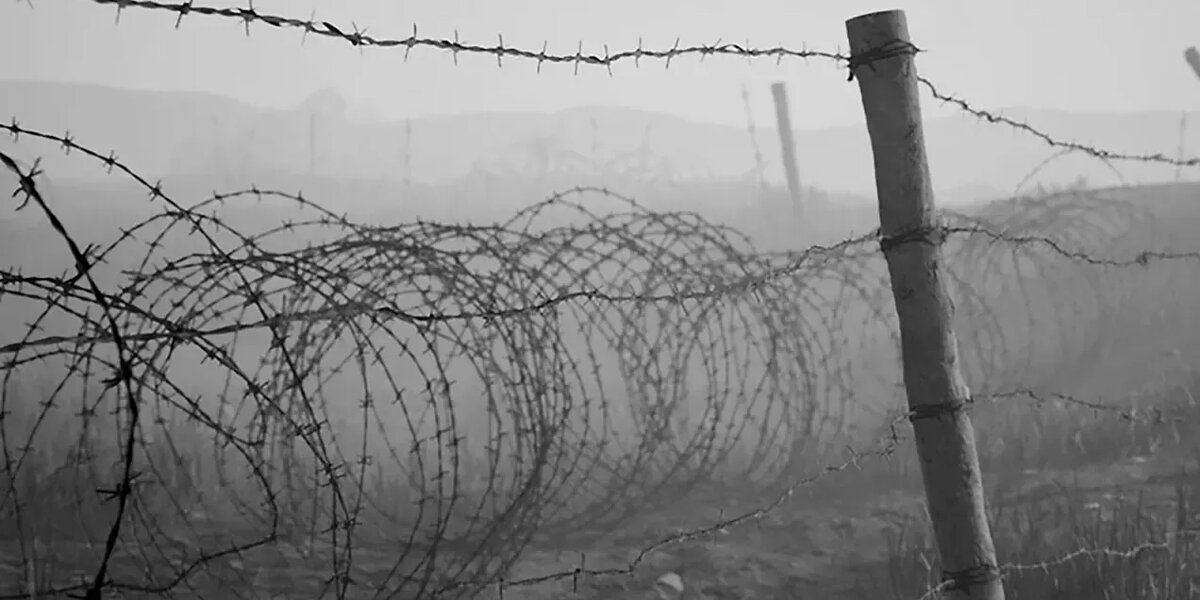 ПРОВОЛОКА ДАННЕРТА