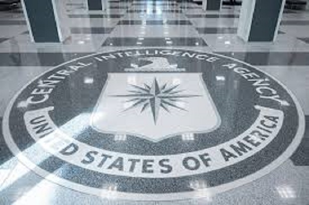 Резидентуры ЦРУ для оперативной работы в Москве и Ленинграде привлекали не только штатных сотрудников, но и жен дипломатов. Вот две истории