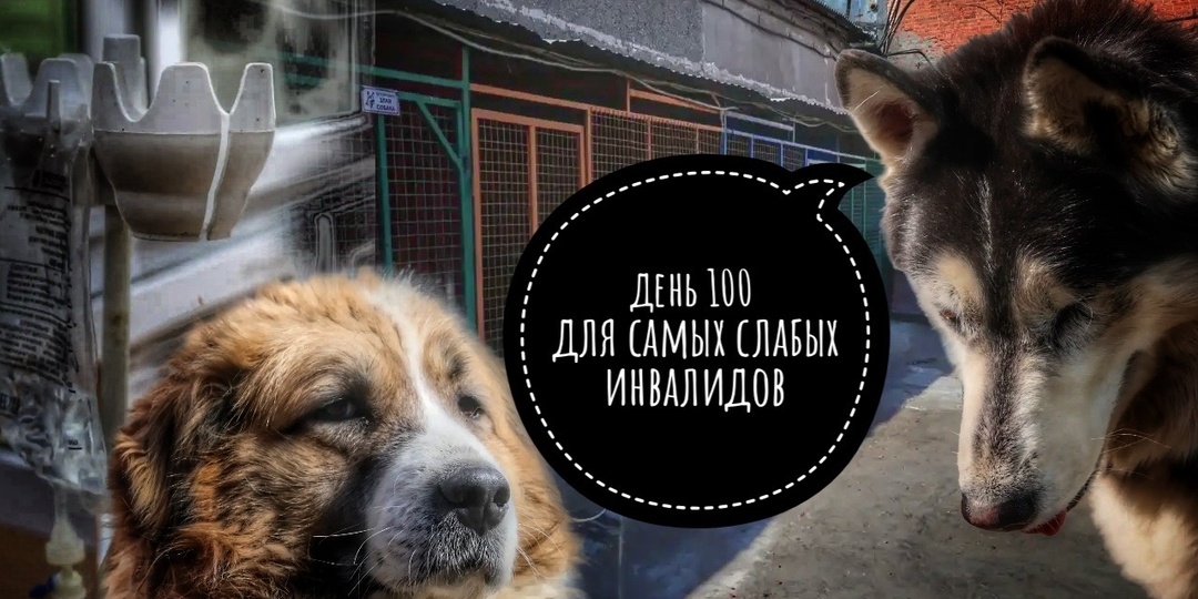 Мы кричали, как могли: ПОМОГИТЕ!