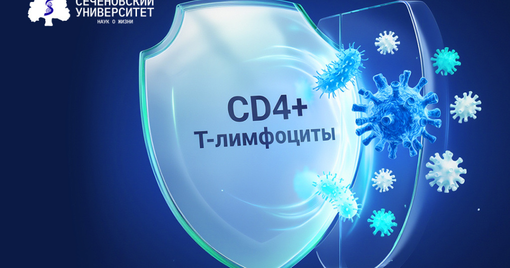 Ученые Сеченовского Университета научились прогнозировать траекторию старения иммунной системы