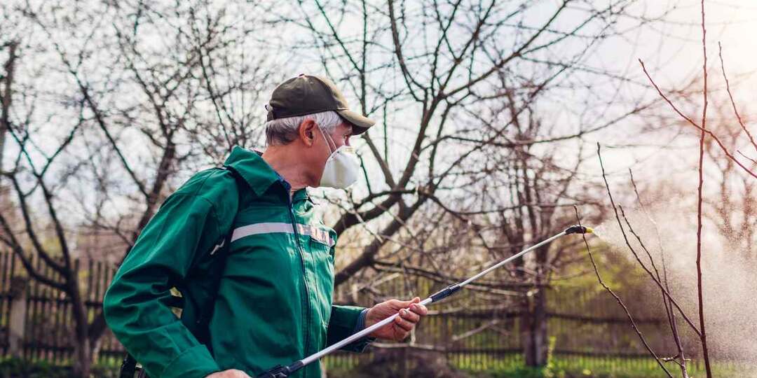 Как и когда провести вторую обработку сада весной правильно