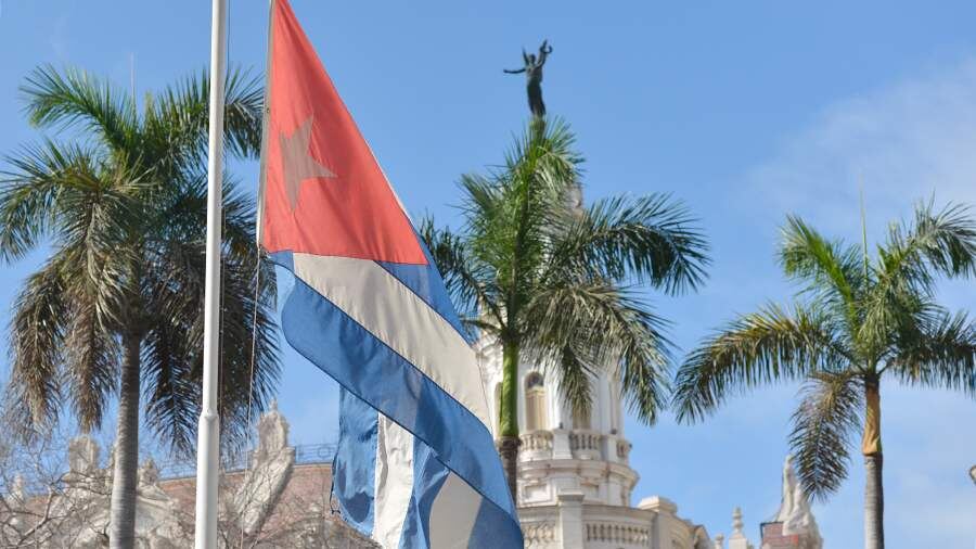    Фото: Global Look Press/Artur Widak