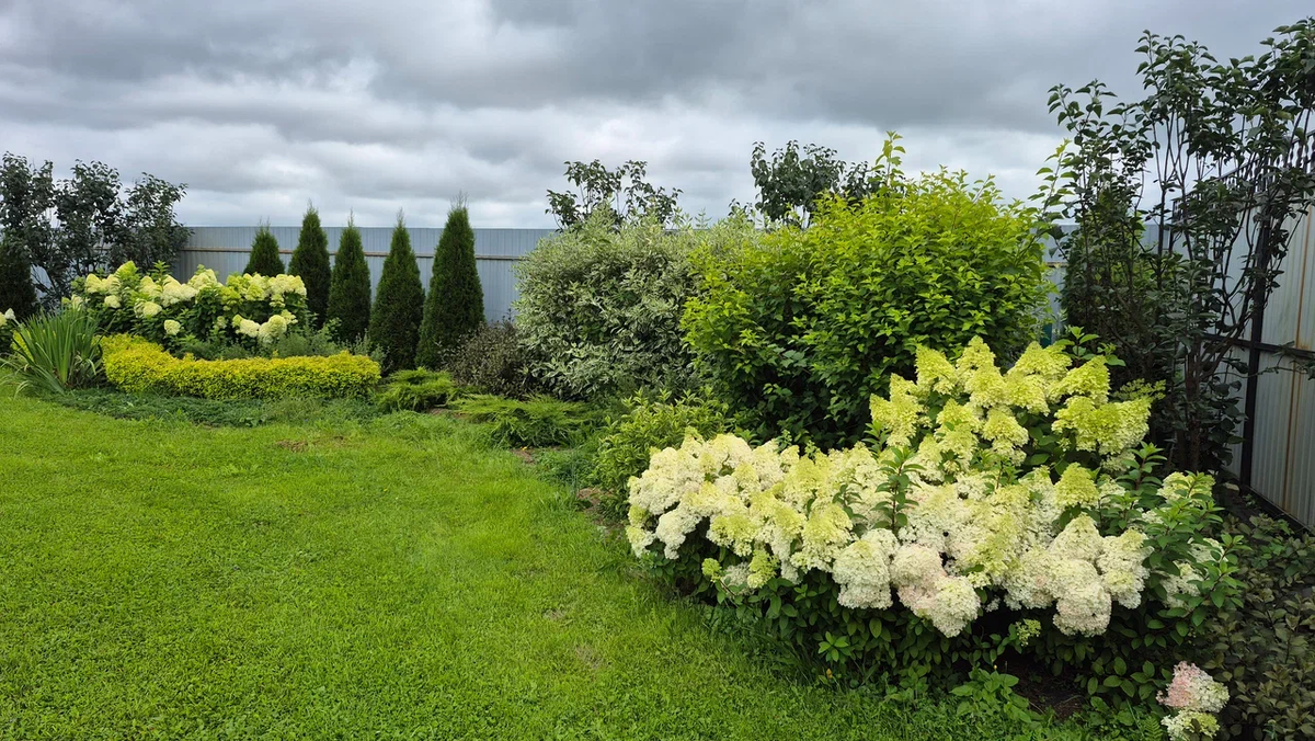 Сад Жанны Мартыновой, основателя LandComp